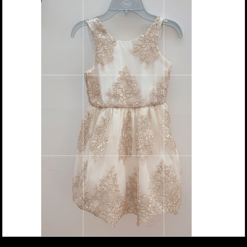 LePink Gold Threaded Dress